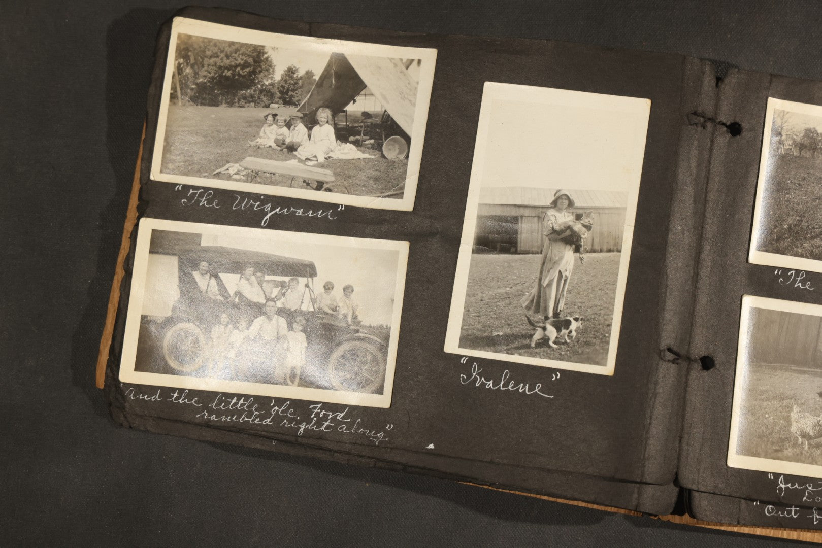 Antique Snapshot Album, Circa 1915-1920, 75+ Photographs with Handwritten Captions Including Horses, Farm Animals, Horse-Drawn Carts, Early Automobiles, Hunting Scenes, and Sailor with Eyeglass
