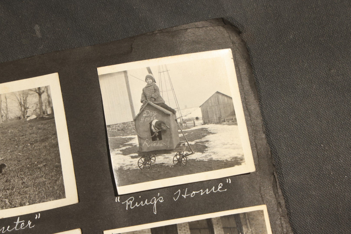 Antique Snapshot Album, Circa 1915-1920, 75+ Photographs with Handwritten Captions Including Horses, Farm Animals, Horse-Drawn Carts, Early Automobiles, Hunting Scenes, and Sailor with Eyeglass