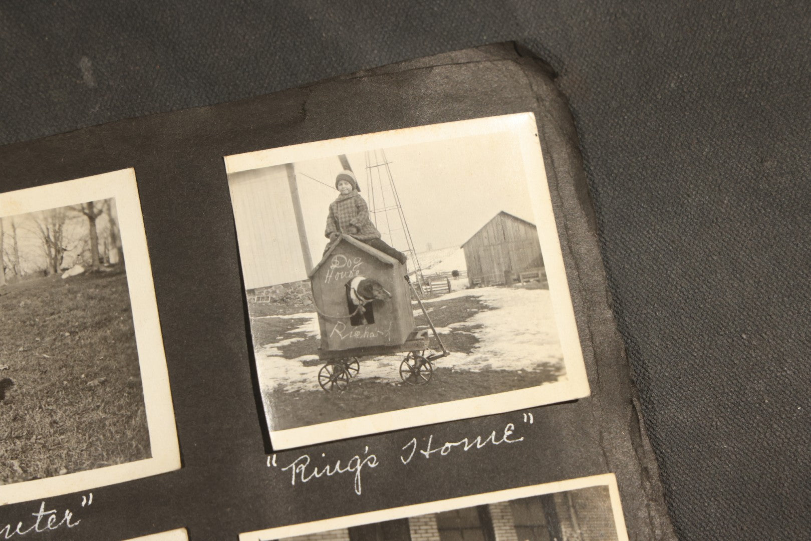 Antique Snapshot Album, Circa 1915-1920, 75+ Photographs with Handwritten Captions Including Horses, Farm Animals, Horse-Drawn Carts, Early Automobiles, Hunting Scenes, and Sailor with Eyeglass