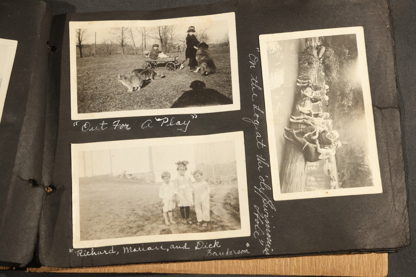 Antique Snapshot Album, Circa 1915-1920, 75+ Photographs with Handwritten Captions Including Horses, Farm Animals, Horse-Drawn Carts, Early Automobiles, Hunting Scenes, and Sailor with Eyeglass