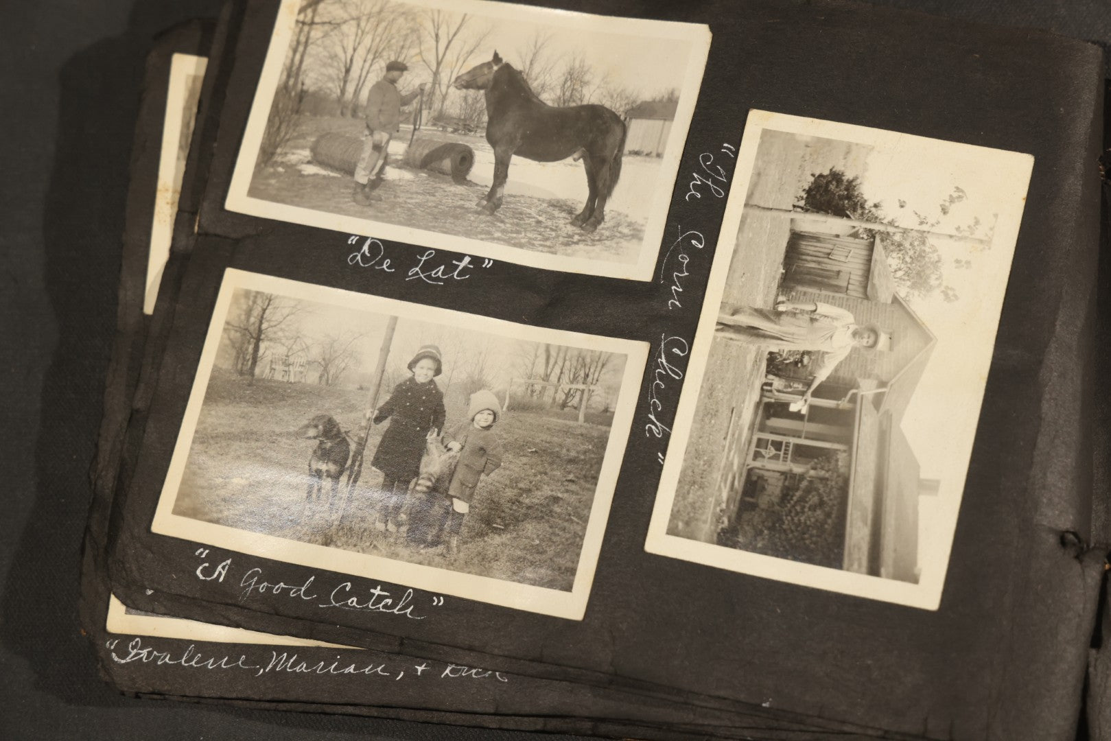 Antique Snapshot Album, Circa 1915-1920, 75+ Photographs with Handwritten Captions Including Horses, Farm Animals, Horse-Drawn Carts, Early Automobiles, Hunting Scenes, and Sailor with Eyeglass