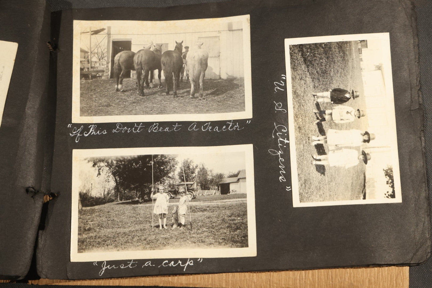 Antique Snapshot Album, Circa 1915-1920, 75+ Photographs with Handwritten Captions Including Horses, Farm Animals, Horse-Drawn Carts, Early Automobiles, Hunting Scenes, and Sailor with Eyeglass