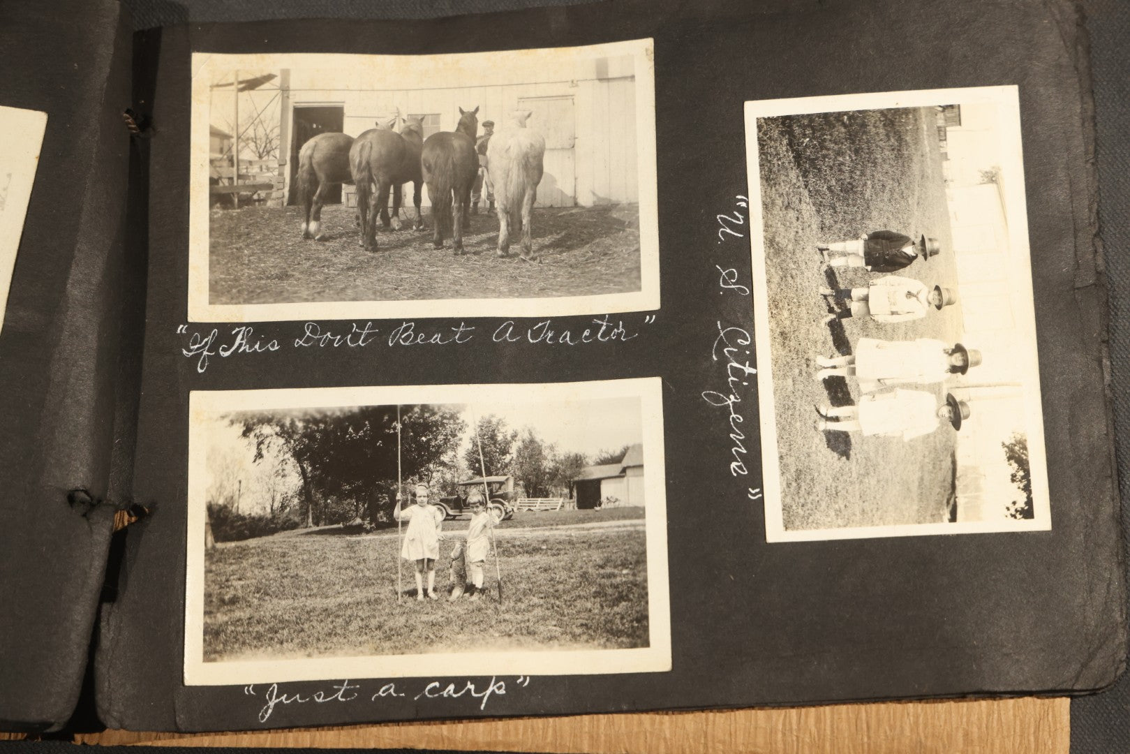 Antique Snapshot Album, Circa 1915-1920, 75+ Photographs with Handwritten Captions Including Horses, Farm Animals, Horse-Drawn Carts, Early Automobiles, Hunting Scenes, and Sailor with Eyeglass