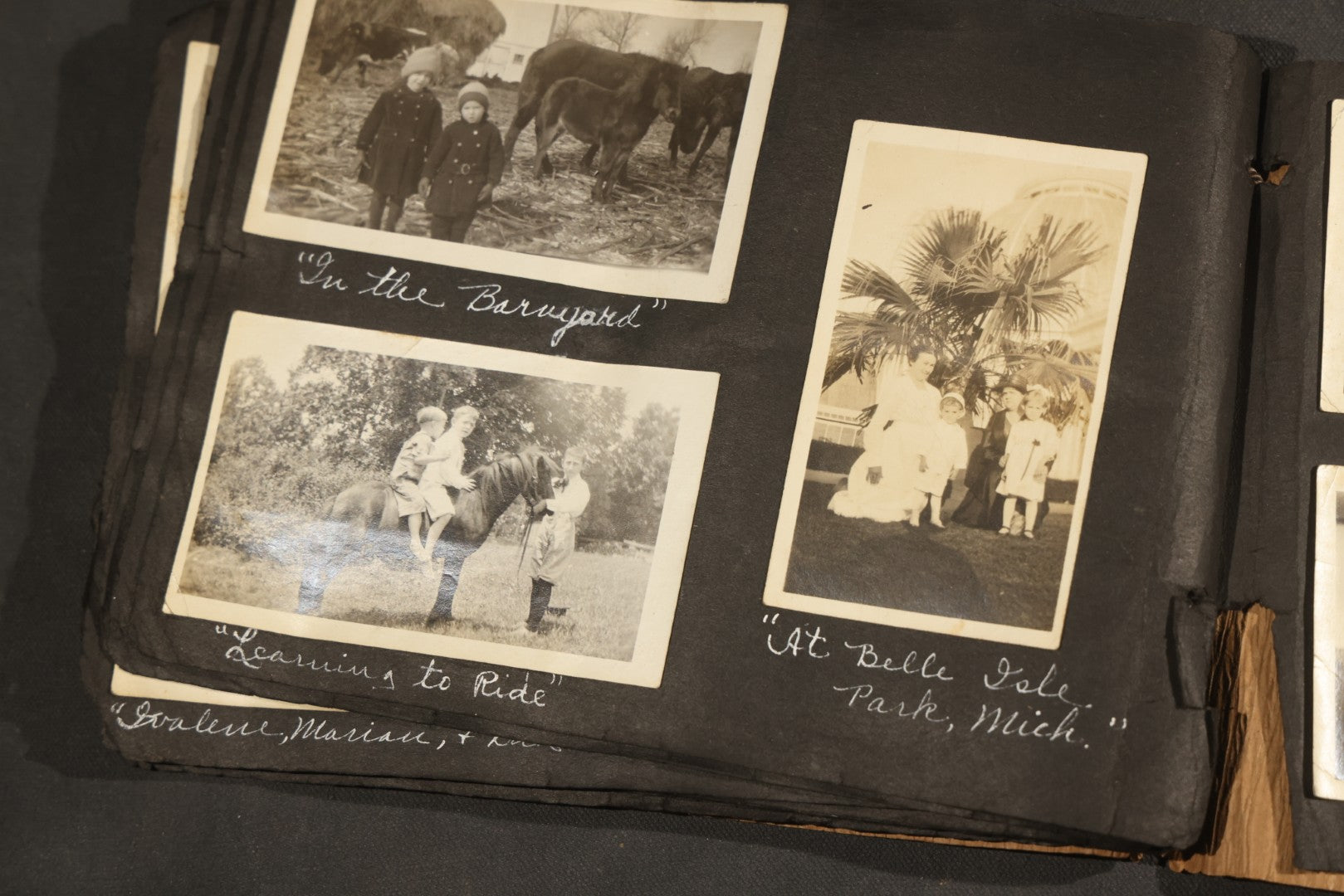 Antique Snapshot Album, Circa 1915-1920, 75+ Photographs with Handwritten Captions Including Horses, Farm Animals, Horse-Drawn Carts, Early Automobiles, Hunting Scenes, and Sailor with Eyeglass