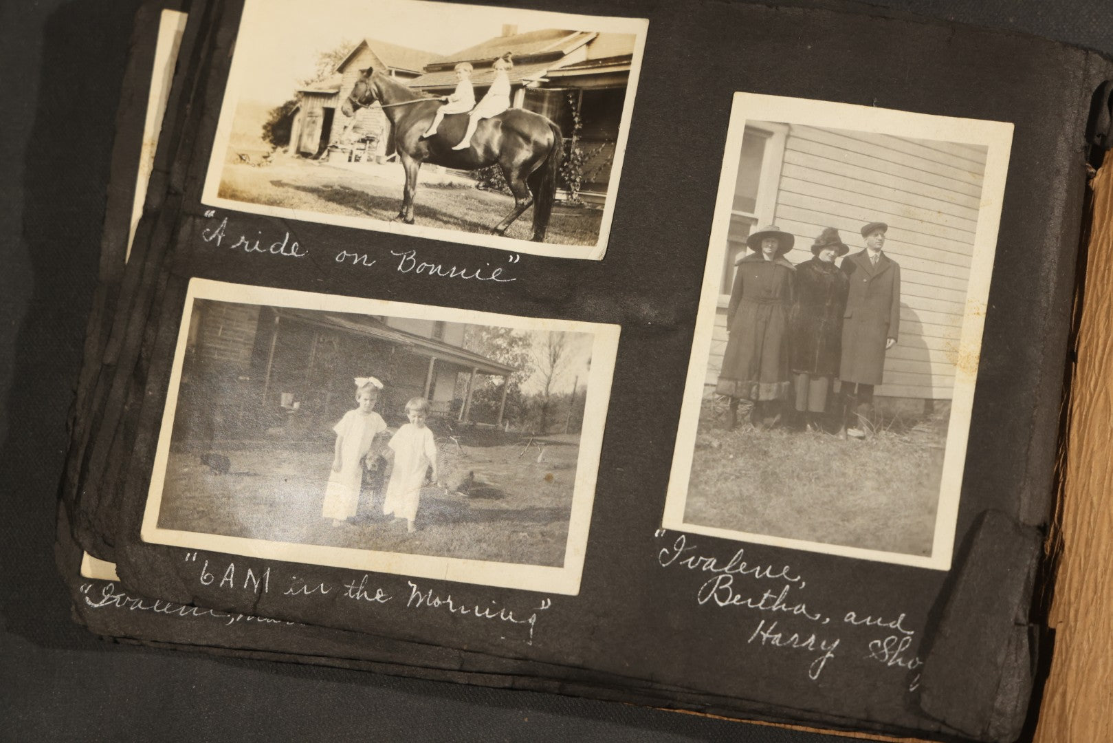 Antique Snapshot Album, Circa 1915-1920, 75+ Photographs with Handwritten Captions Including Horses, Farm Animals, Horse-Drawn Carts, Early Automobiles, Hunting Scenes, and Sailor with Eyeglass