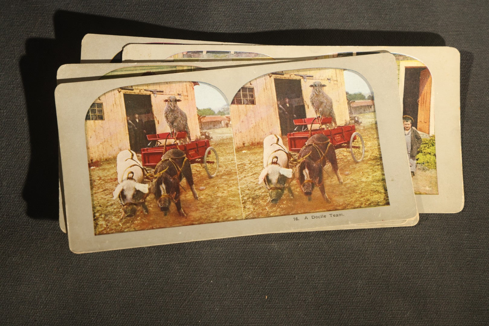 Grouping of 21 Antique Colorized Photographic Stereo View Cards, Comic and Genre Scenes