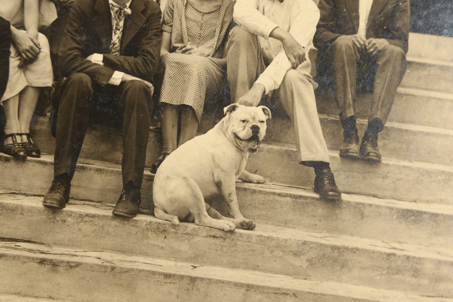 Antique Board-Mounted Photograph of a High School Class Group on Building Steps with Bulldog Mascot