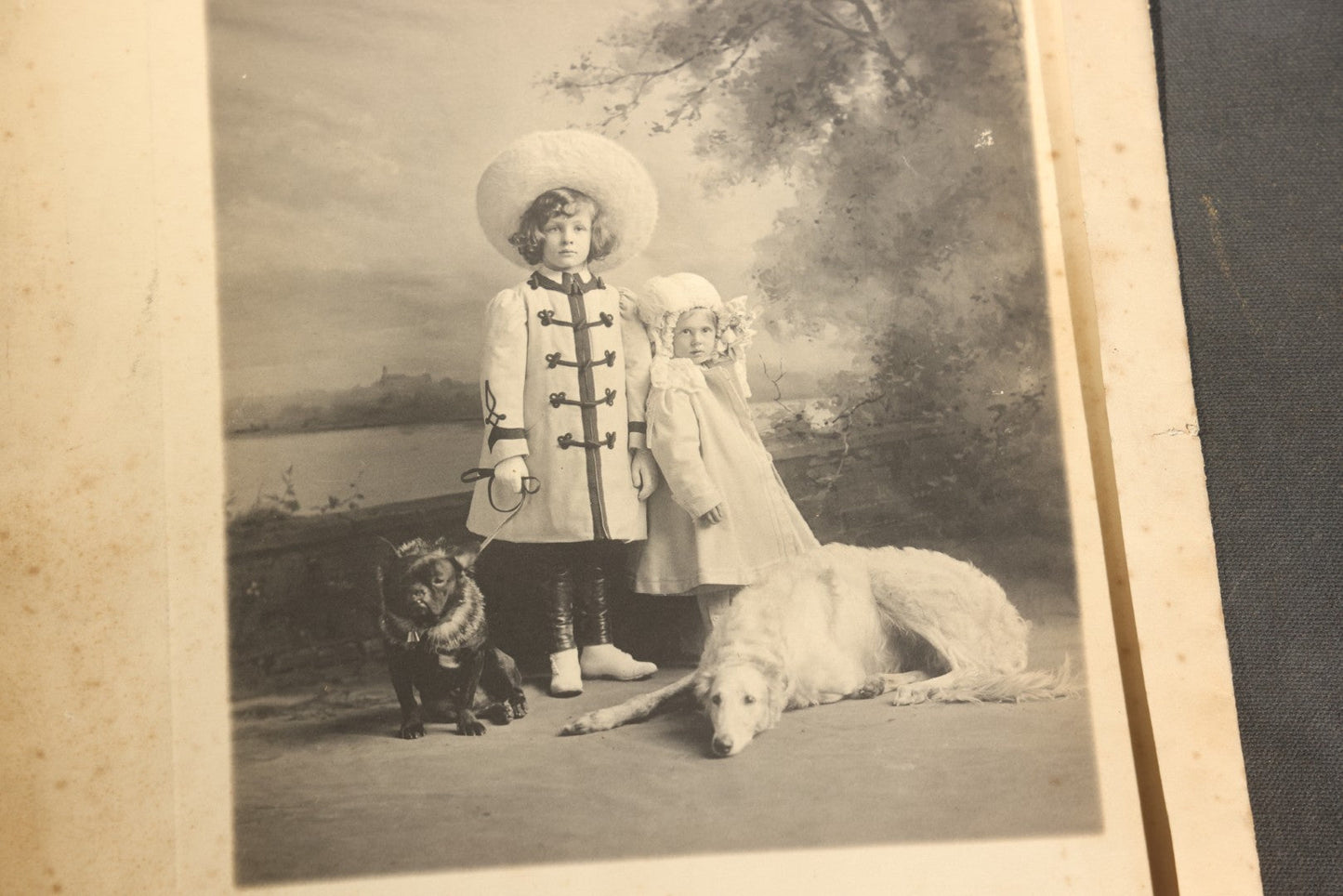 Grouping of Nine Antique Photographs, Domestic and Outdoor Scenes Including Horse-Drawn Sleigh, Children with Dogs, Women at Home, and Horse in Snow