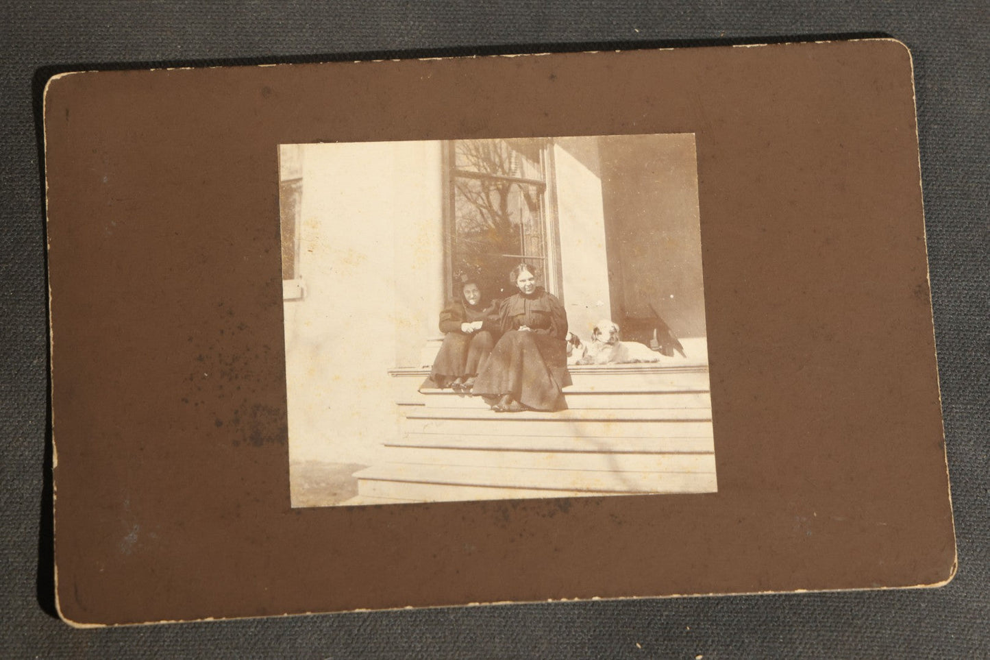 Grouping of Nine Antique Photographs, Domestic and Outdoor Scenes Including Horse-Drawn Sleigh, Children with Dogs, Women at Home, and Horse in Snow