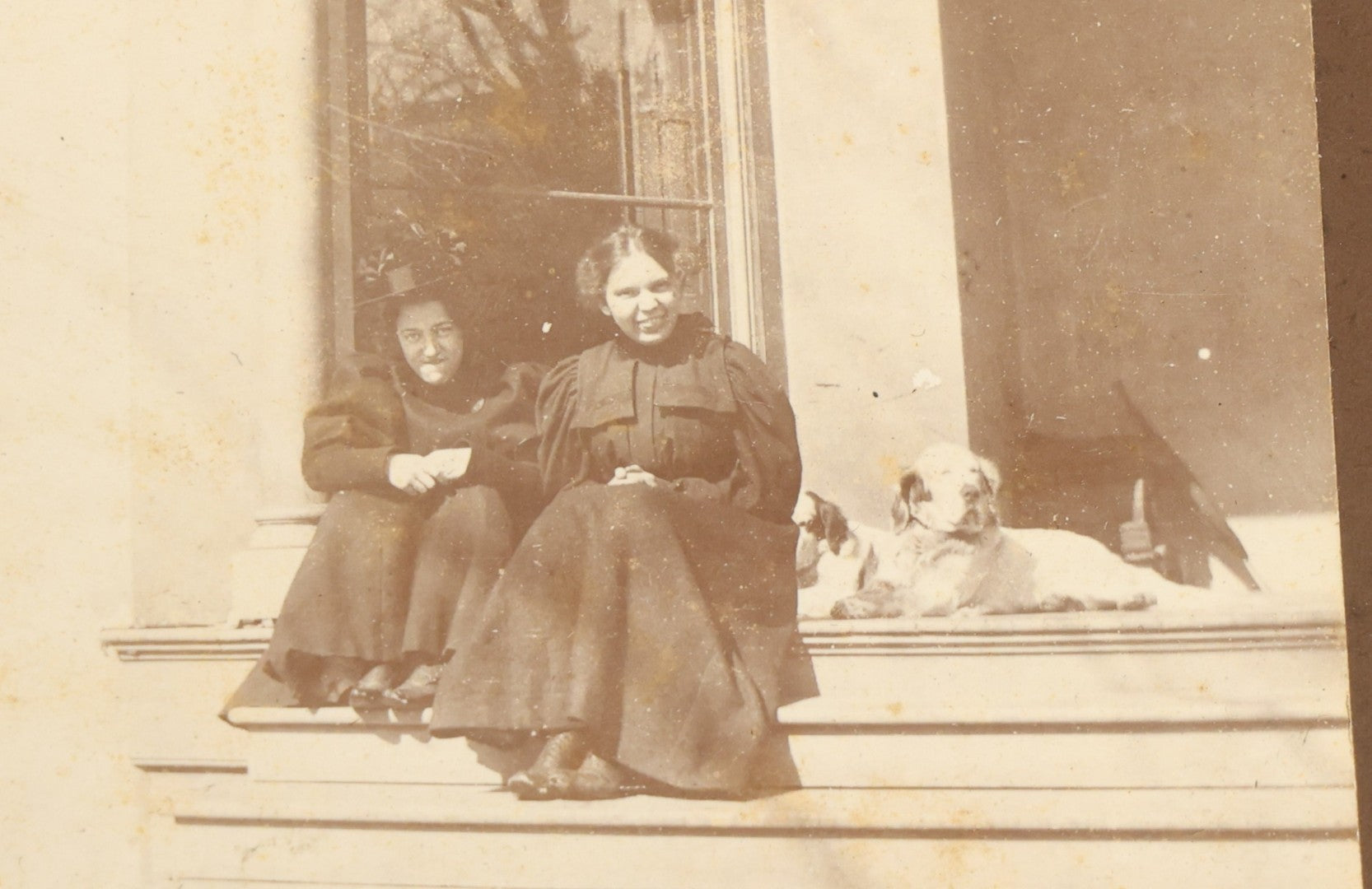 Grouping of Nine Antique Photographs, Domestic and Outdoor Scenes Including Horse-Drawn Sleigh, Children with Dogs, Women at Home, and Horse in Snow