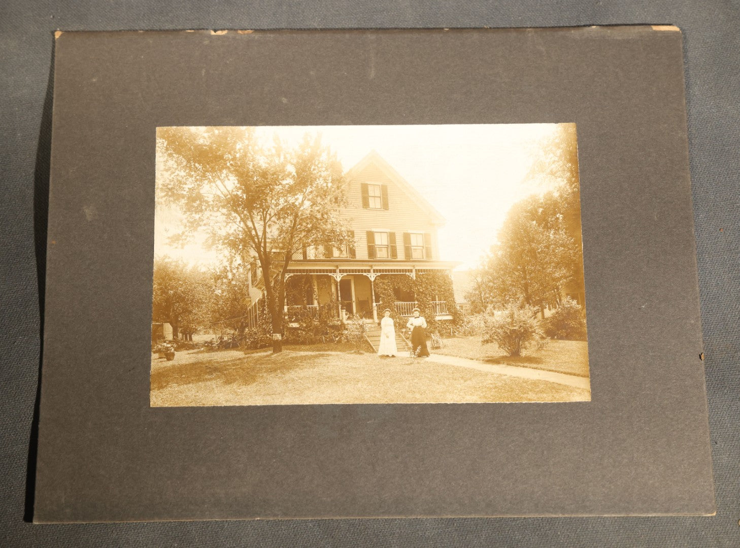 Grouping of Nine Antique Photographs, Domestic and Outdoor Scenes Including Horse-Drawn Sleigh, Children with Dogs, Women at Home, and Horse in Snow