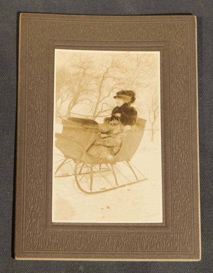 Grouping of Nine Antique Photographs, Domestic and Outdoor Scenes Including Horse-Drawn Sleigh, Children with Dogs, Women at Home, and Horse in Snow