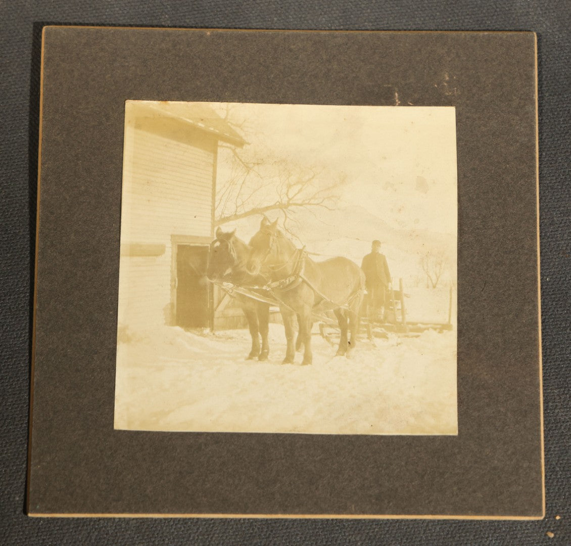 Grouping of Nine Antique Photographs, Domestic and Outdoor Scenes Including Horse-Drawn Sleigh, Children with Dogs, Women at Home, and Horse in Snow