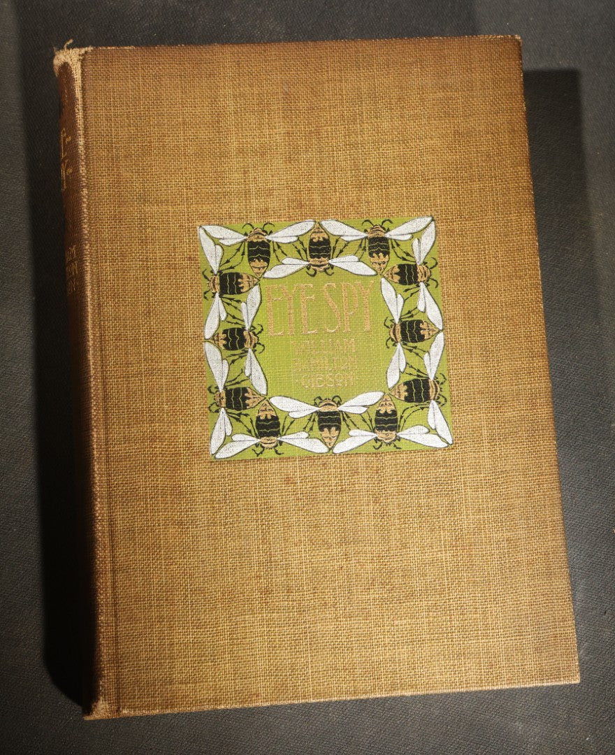 "Eye Spy: Afield with Nature Among Flowers and Animate Things" Antique Natural History Book by William Hamilton Gibson, Illustrated by the Author, Published by Harper & Brothers, New York, 1897