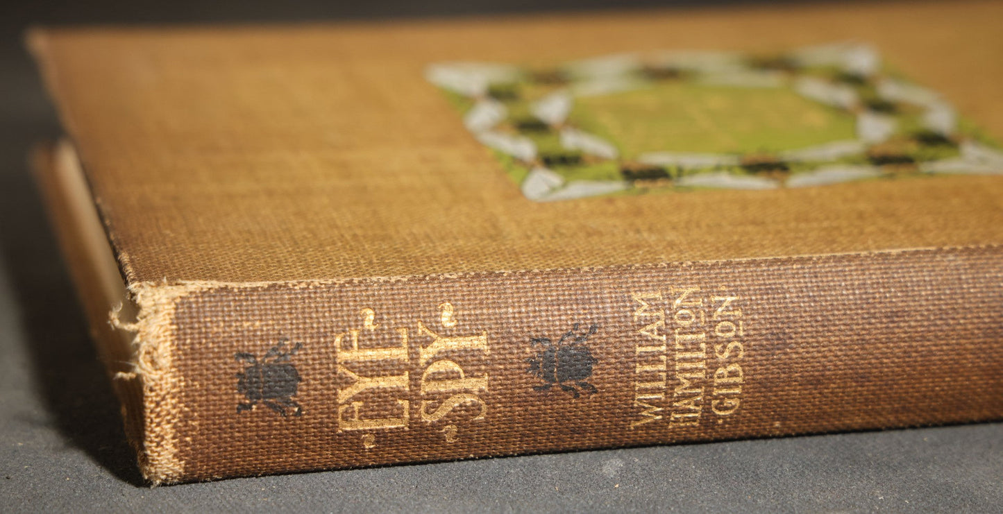 "Eye Spy: Afield with Nature Among Flowers and Animate Things" Antique Natural History Book by William Hamilton Gibson, Illustrated by the Author, Published by Harper & Brothers, New York, 1897