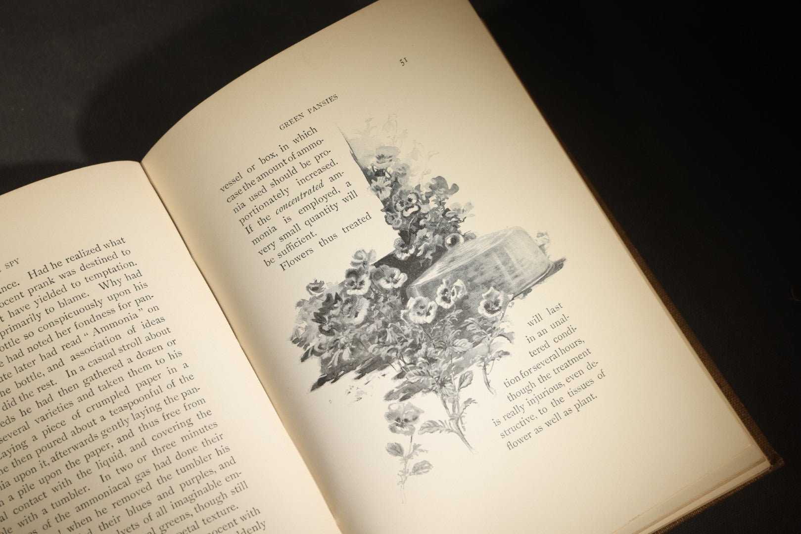 "Eye Spy: Afield with Nature Among Flowers and Animate Things" Antique Natural History Book by William Hamilton Gibson, Illustrated by the Author, Published by Harper & Brothers, New York, 1897