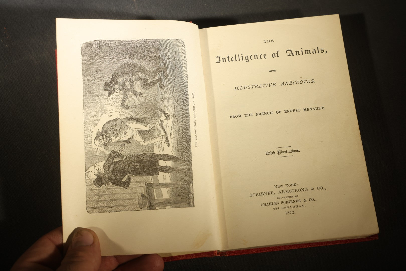 Grouping of Six Antique "Illustrated Library of Wonders" Books Published by Scribner, Armstrong & Co., New York, Including Italian & European Art, Wonderful Escapes, Hunting Grounds, Intelligence of Animals, and Bodily Strength