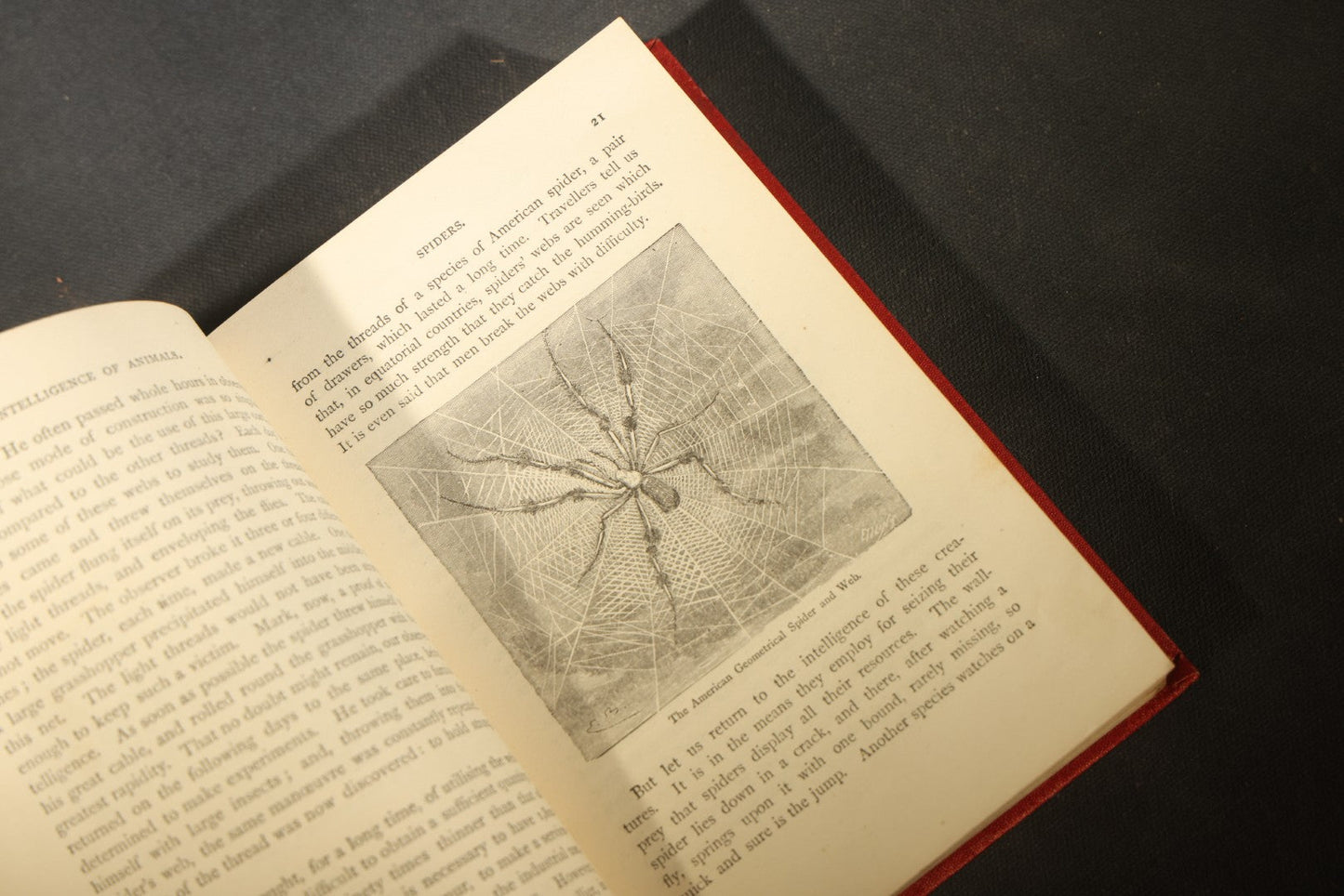 Grouping of Six Antique "Illustrated Library of Wonders" Books Published by Scribner, Armstrong & Co., New York, Including Italian & European Art, Wonderful Escapes, Hunting Grounds, Intelligence of Animals, and Bodily Strength