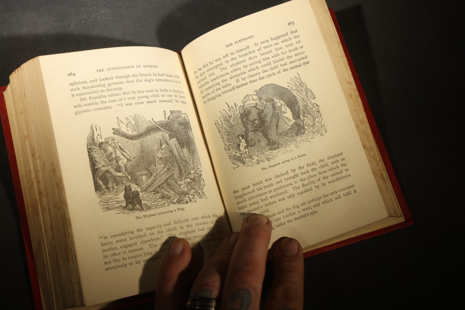 Grouping of Six Antique "Illustrated Library of Wonders" Books Published by Scribner, Armstrong & Co., New York, Including Italian & European Art, Wonderful Escapes, Hunting Grounds, Intelligence of Animals, and Bodily Strength