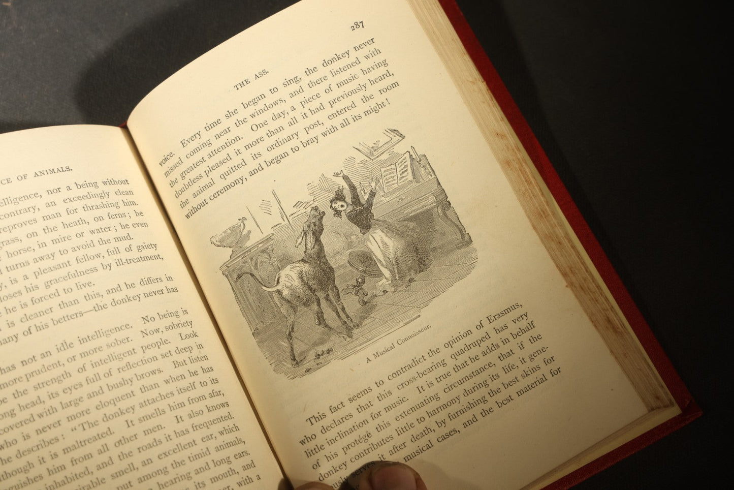 Grouping of Six Antique "Illustrated Library of Wonders" Books Published by Scribner, Armstrong & Co., New York, Including Italian & European Art, Wonderful Escapes, Hunting Grounds, Intelligence of Animals, and Bodily Strength