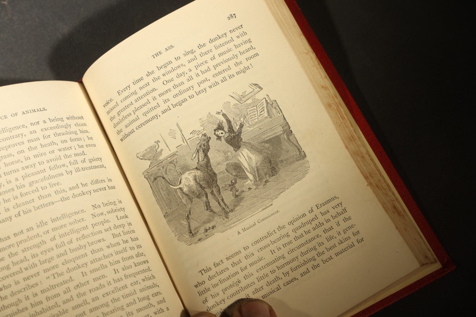 Grouping of Six Antique "Illustrated Library of Wonders" Books Published by Scribner, Armstrong & Co., New York, Including Italian & European Art, Wonderful Escapes, Hunting Grounds, Intelligence of Animals, and Bodily Strength