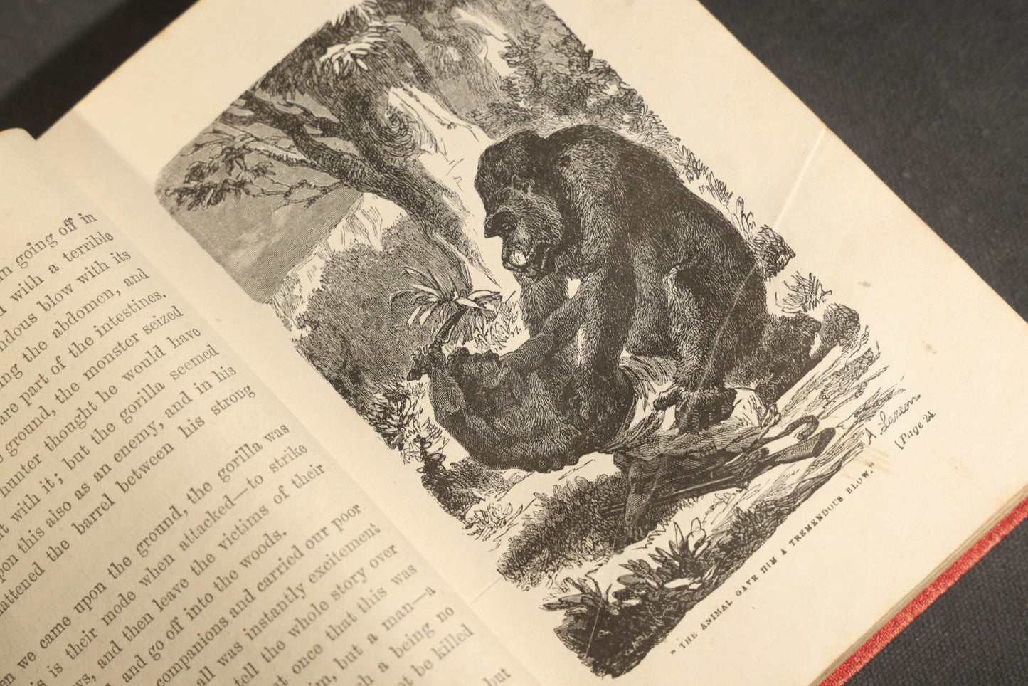 Grouping of Six Antique "Illustrated Library of Wonders" Books Published by Scribner, Armstrong & Co., New York, Including Italian & European Art, Wonderful Escapes, Hunting Grounds, Intelligence of Animals, and Bodily Strength