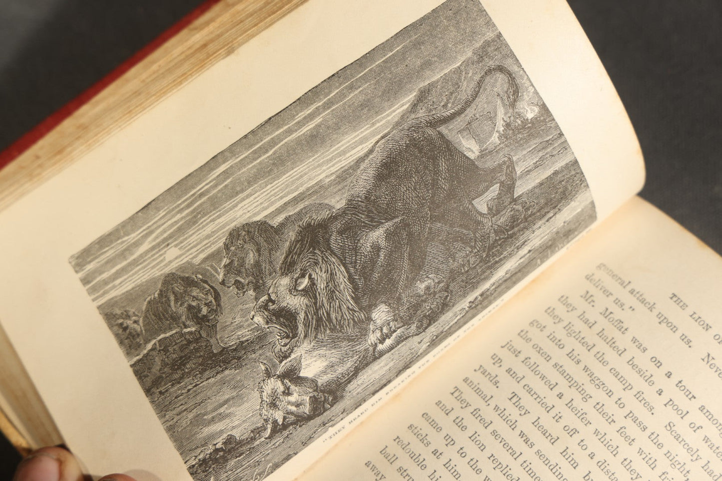 Grouping of Six Antique "Illustrated Library of Wonders" Books Published by Scribner, Armstrong & Co., New York, Including Italian & European Art, Wonderful Escapes, Hunting Grounds, Intelligence of Animals, and Bodily Strength