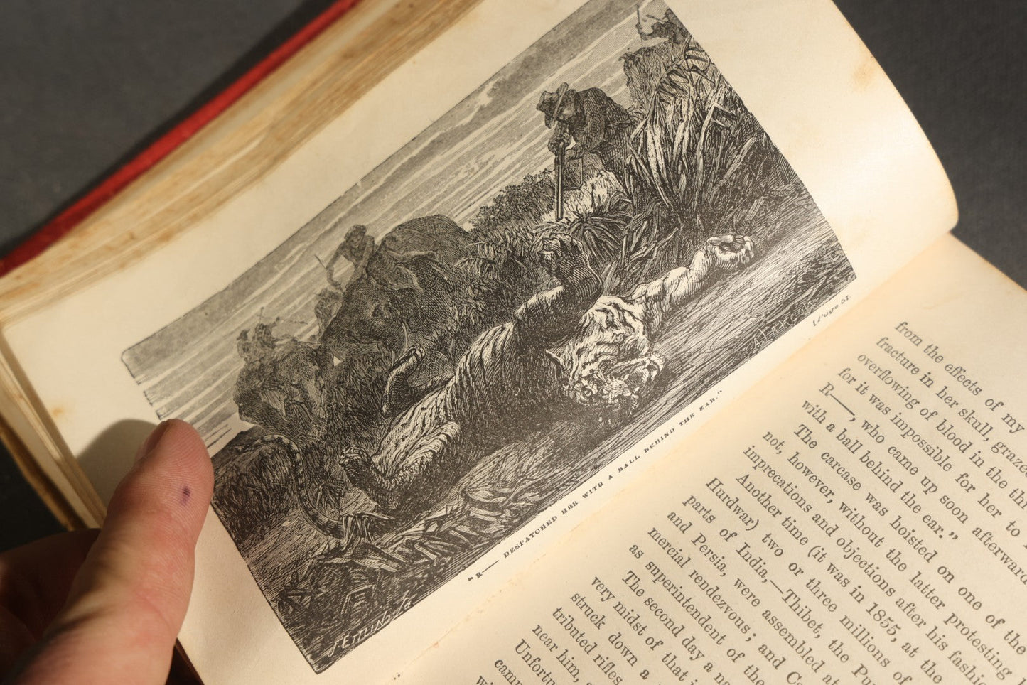 Grouping of Six Antique "Illustrated Library of Wonders" Books Published by Scribner, Armstrong & Co., New York, Including Italian & European Art, Wonderful Escapes, Hunting Grounds, Intelligence of Animals, and Bodily Strength