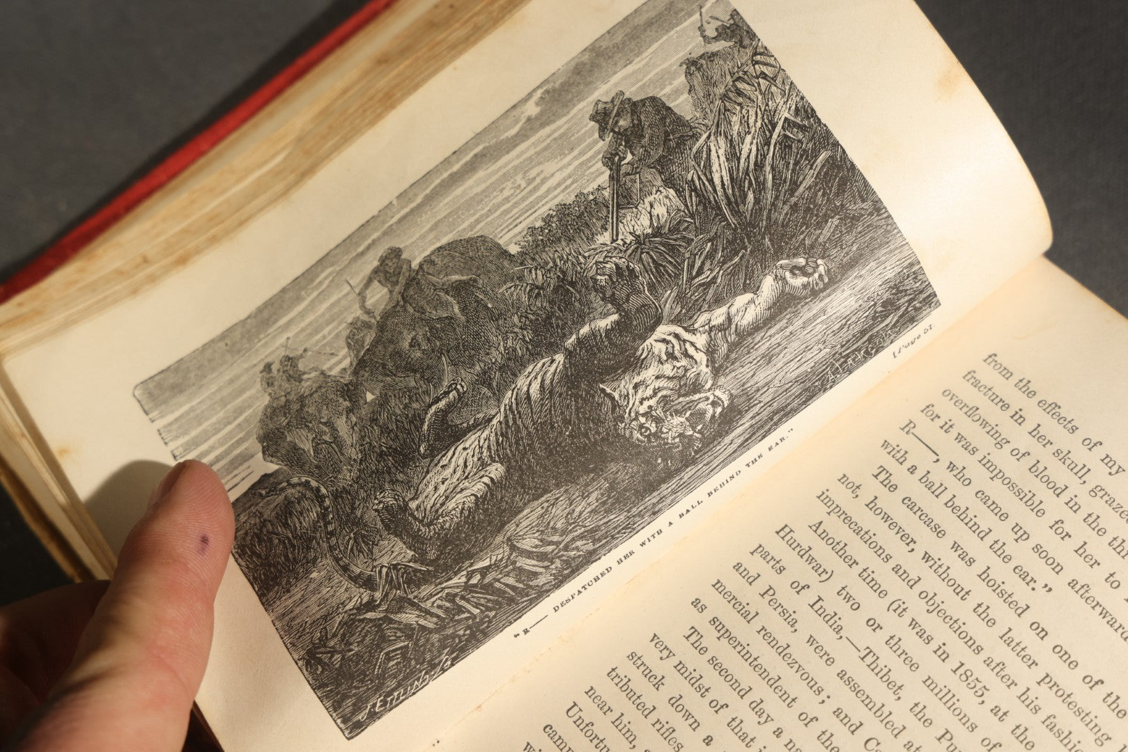Grouping of Six Antique "Illustrated Library of Wonders" Books Published by Scribner, Armstrong & Co., New York, Including Italian & European Art, Wonderful Escapes, Hunting Grounds, Intelligence of Animals, and Bodily Strength