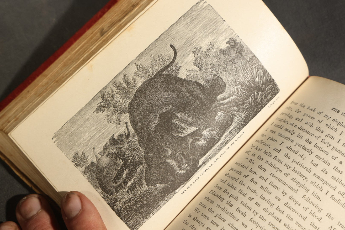 Grouping of Six Antique "Illustrated Library of Wonders" Books Published by Scribner, Armstrong & Co., New York, Including Italian & European Art, Wonderful Escapes, Hunting Grounds, Intelligence of Animals, and Bodily Strength