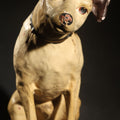 Lot 001 - Antique Nipper the Dog Composition Advertising Figure, "His Master's Voice," Advertising R.C.A. Victor Victrola Mascot, with Paper Label from Old King Cole Inc., Canton Ohio, , 14" H