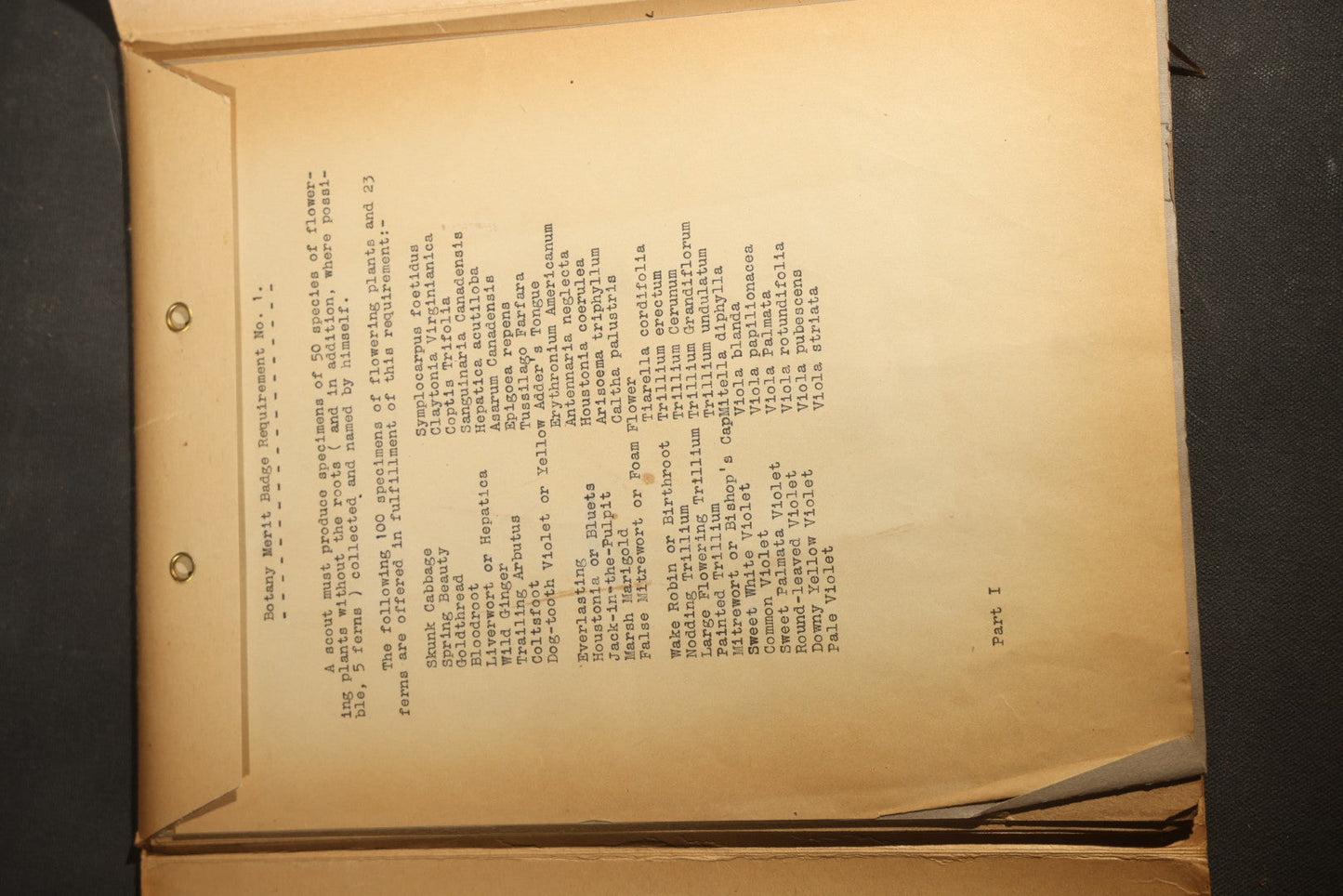 Grouping of five Antique Boy Scout Botany Merit Badge Specimen Collections with Over 100 Pages of Pressed Flowers, Plants, Leaves and Ferns, collected by Commissioner L.E. Sweitzer, Pittsfield, Massachusetts, 1922
