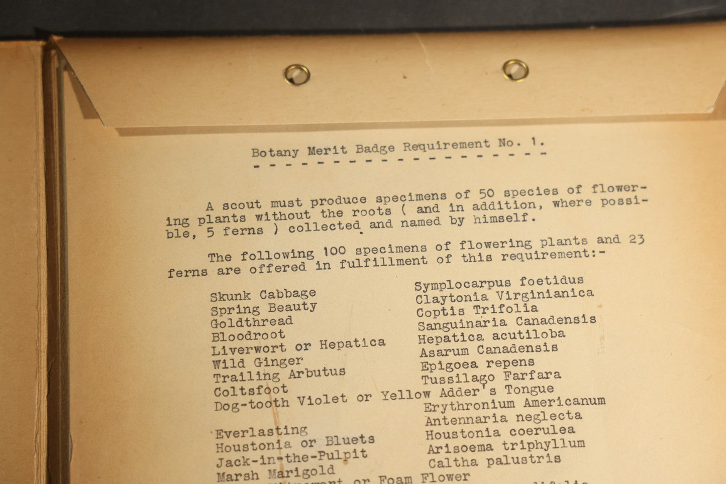 Grouping of five Antique Boy Scout Botany Merit Badge Specimen Collections with Over 100 Pages of Pressed Flowers, Plants, Leaves and Ferns, collected by Commissioner L.E. Sweitzer, Pittsfield, Massachusetts, 1922