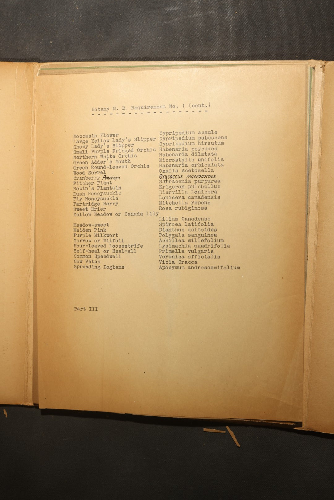 Grouping of five Antique Boy Scout Botany Merit Badge Specimen Collections with Over 100 Pages of Pressed Flowers, Plants, Leaves and Ferns, collected by Commissioner L.E. Sweitzer, Pittsfield, Massachusetts, 1922