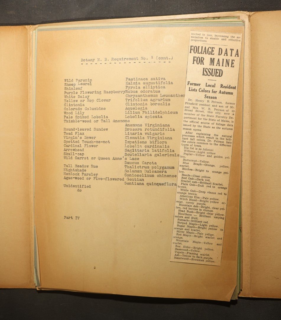 Grouping of five Antique Boy Scout Botany Merit Badge Specimen Collections with Over 100 Pages of Pressed Flowers, Plants, Leaves and Ferns, collected by Commissioner L.E. Sweitzer, Pittsfield, Massachusetts, 1922