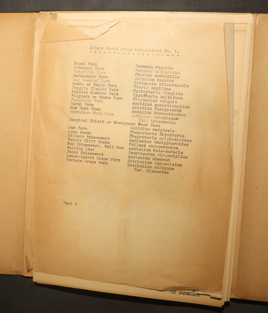 Grouping of five Antique Boy Scout Botany Merit Badge Specimen Collections with Over 100 Pages of Pressed Flowers, Plants, Leaves and Ferns, collected by Commissioner L.E. Sweitzer, Pittsfield, Massachusetts, 1922