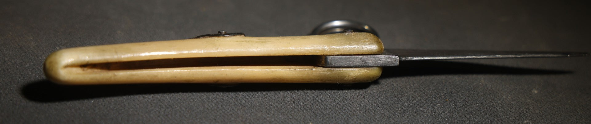 Vintage Eynard Paris Folding Knife with Bone Handle