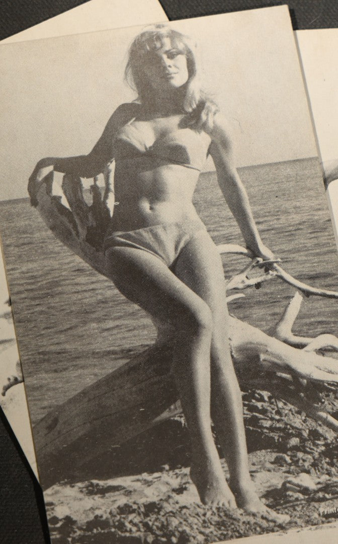 Grouping of 17 Vintage Bikini Pinup Arcade Cards Marked Printed in USA, Swimwear Photography