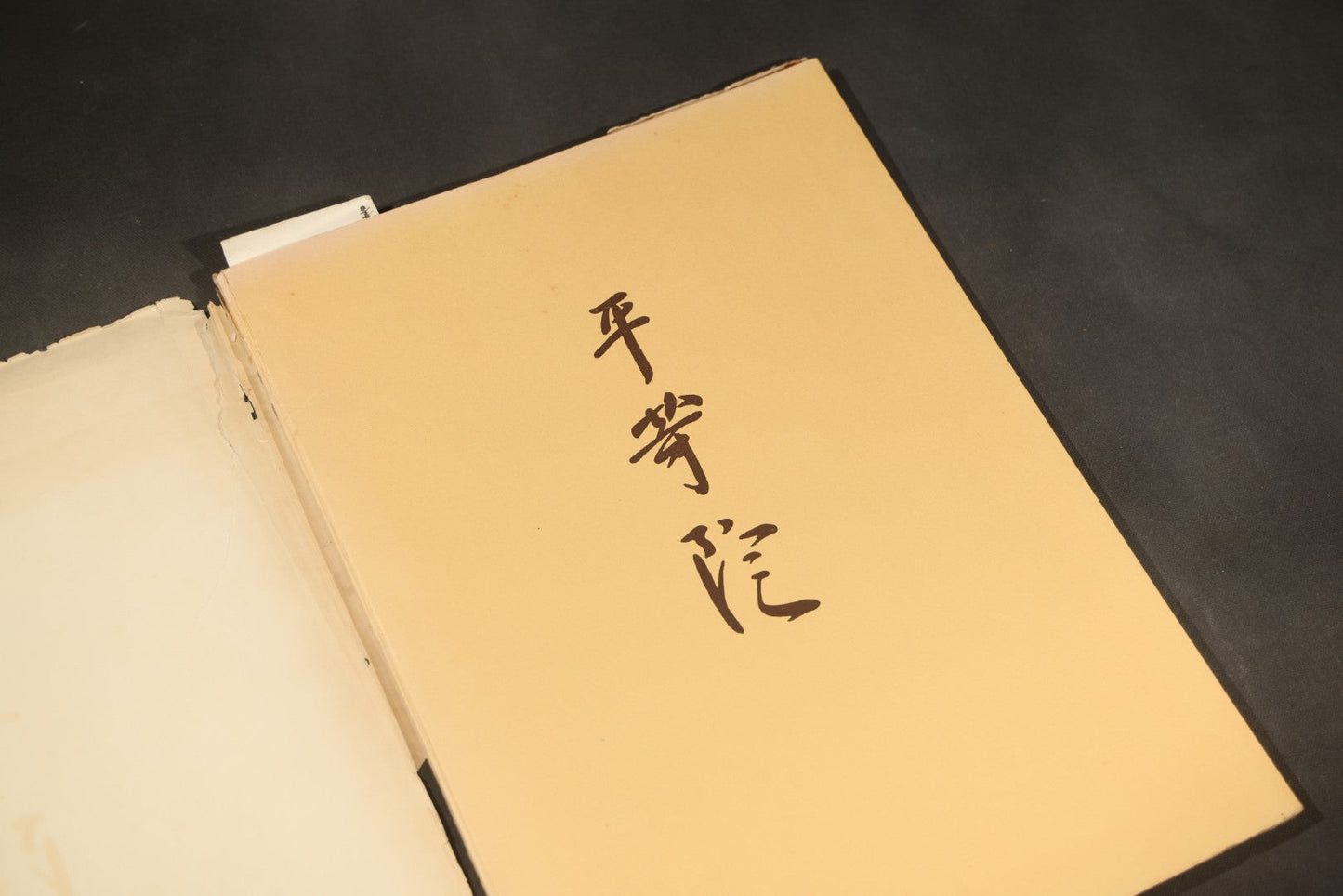 "Byodo-In" Vintage Japanese Temple Photography Book, The Valley of the Temples Memorial Park, Photographs by Tatsuzo Sato