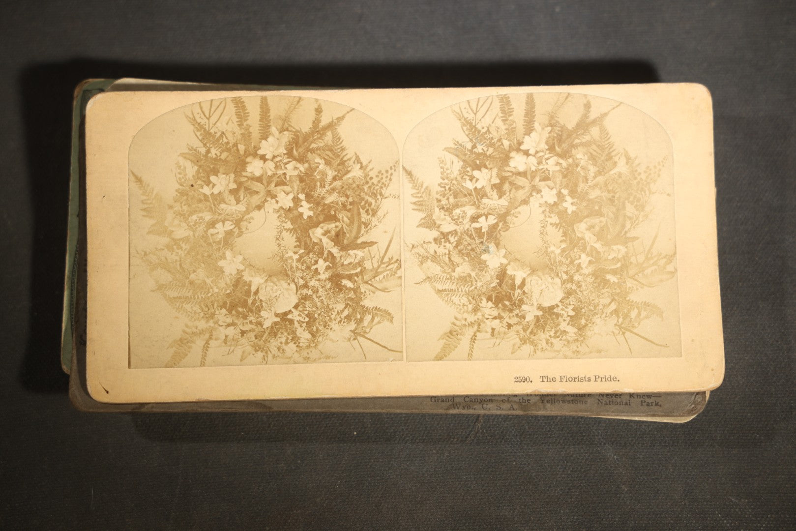 Grouping of 30+ Antique photographic Stereoview Cards including Buildings, Landscapes, Architecture, and more