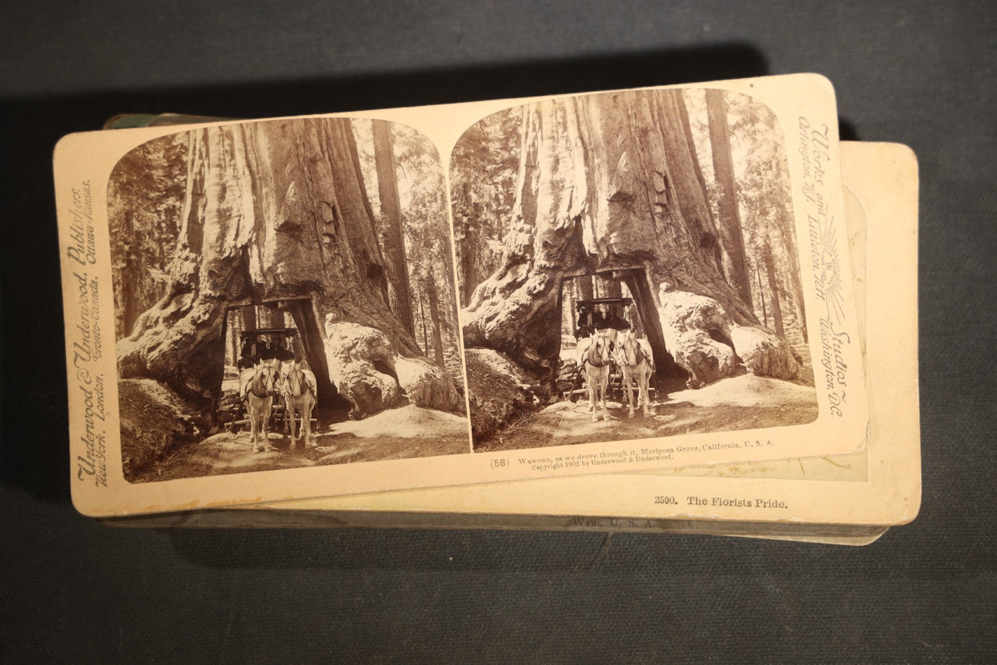 Grouping of 30+ Antique photographic Stereoview Cards including Buildings, Landscapes, Architecture, and more