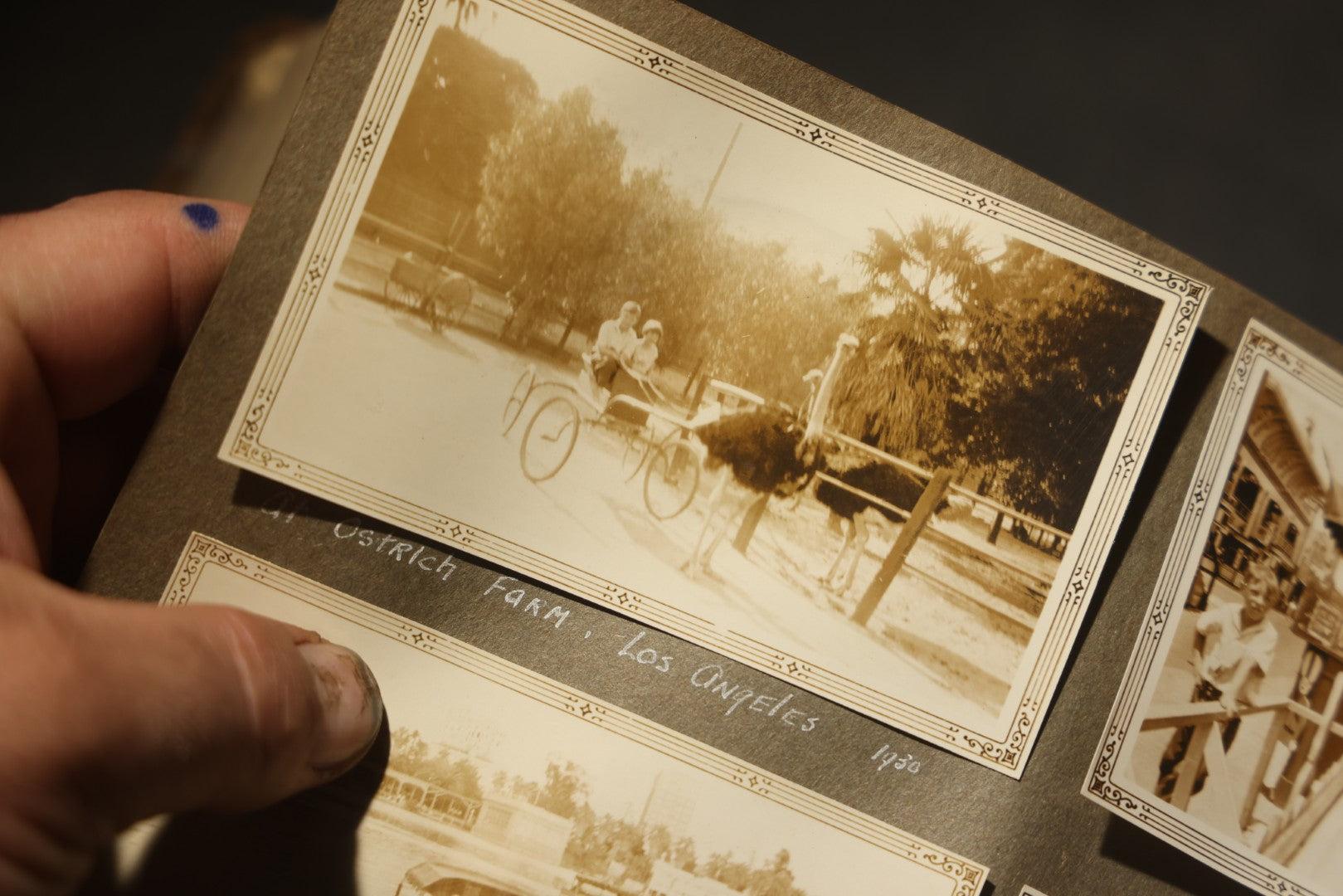Antique Snapshot Photo Album Containing 200+ Snapshot Photographs, California Road Trip and Cross Country Travel Including Los Angeles, San Francisco, Catalina Island, Washington D.C., Niagara Falls, 1926-1930