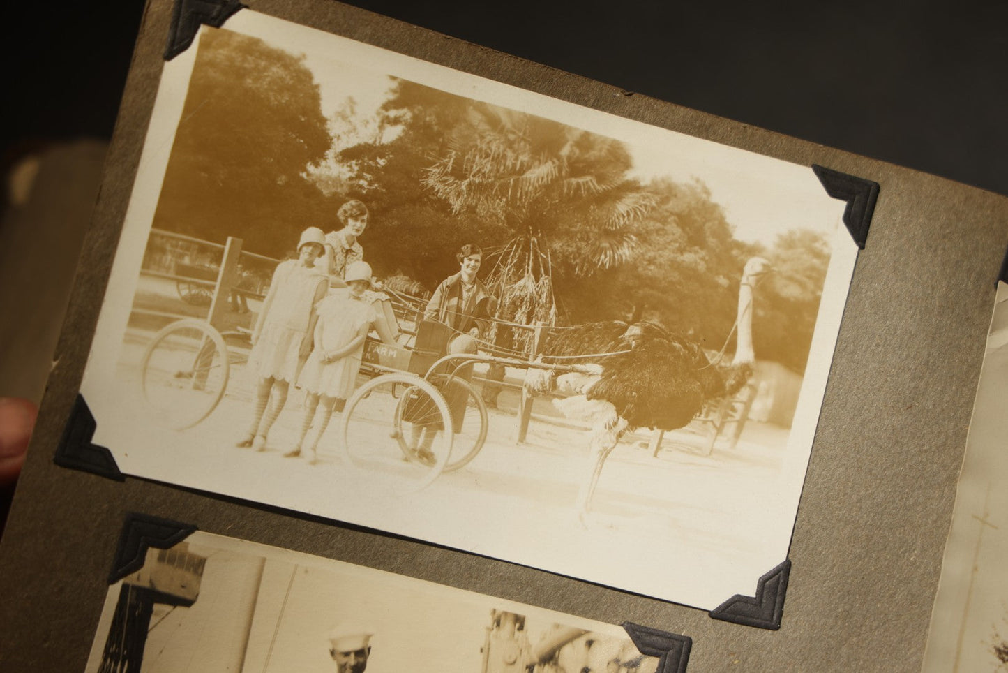 Antique Snapshot Photo Album Containing 200+ Snapshot Photographs, California Road Trip and Cross Country Travel Including Los Angeles, San Francisco, Catalina Island, Washington D.C., Niagara Falls, 1926-1930