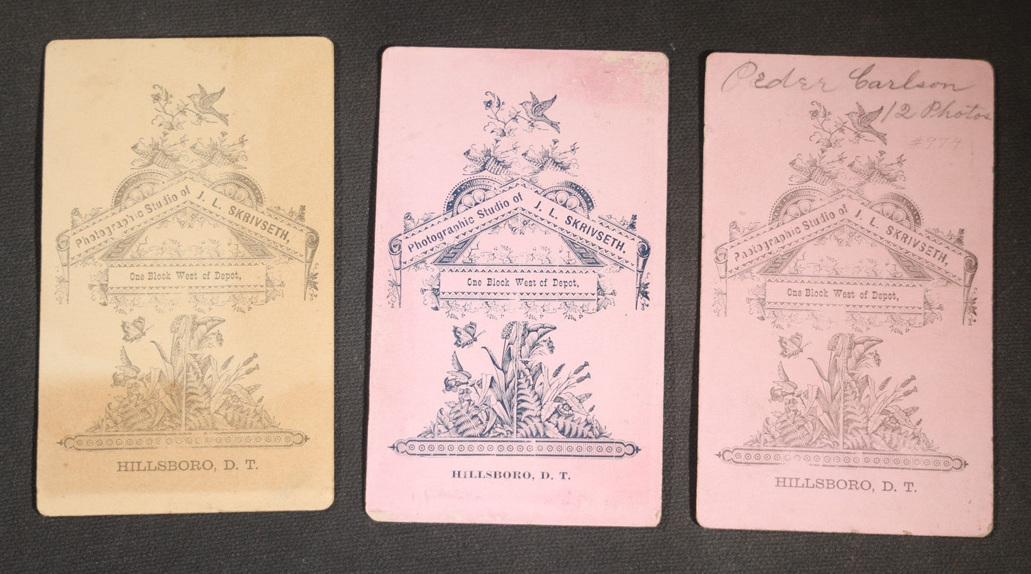 Grouping of 20 Antique Cabinet Card Photographs, mostly by J.L. Skrivseth, Hillsboro, Dakota Territory, Men and Women Portraits