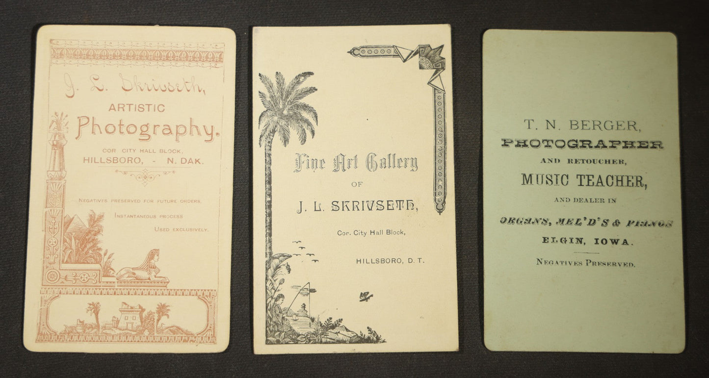 Grouping of 20 Antique Cabinet Card Photographs, mostly by J.L. Skrivseth, Hillsboro, Dakota Territory, Men and Women Portraits