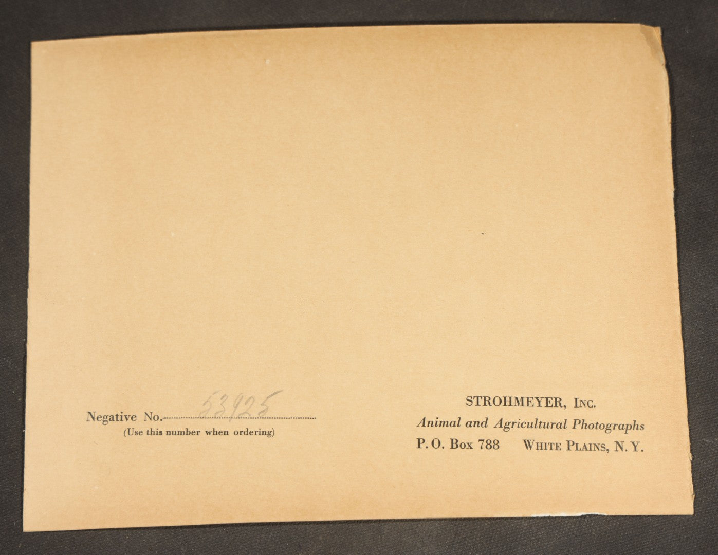 Grouping of Ten Antique and Vintage Paper Ephemera, including Scotts Emulsion Calendar 1898, Strohmeyer Inc. Animal Photographs, Kansas City Ice Storm Press Photo, First AidDrink Mix Labels