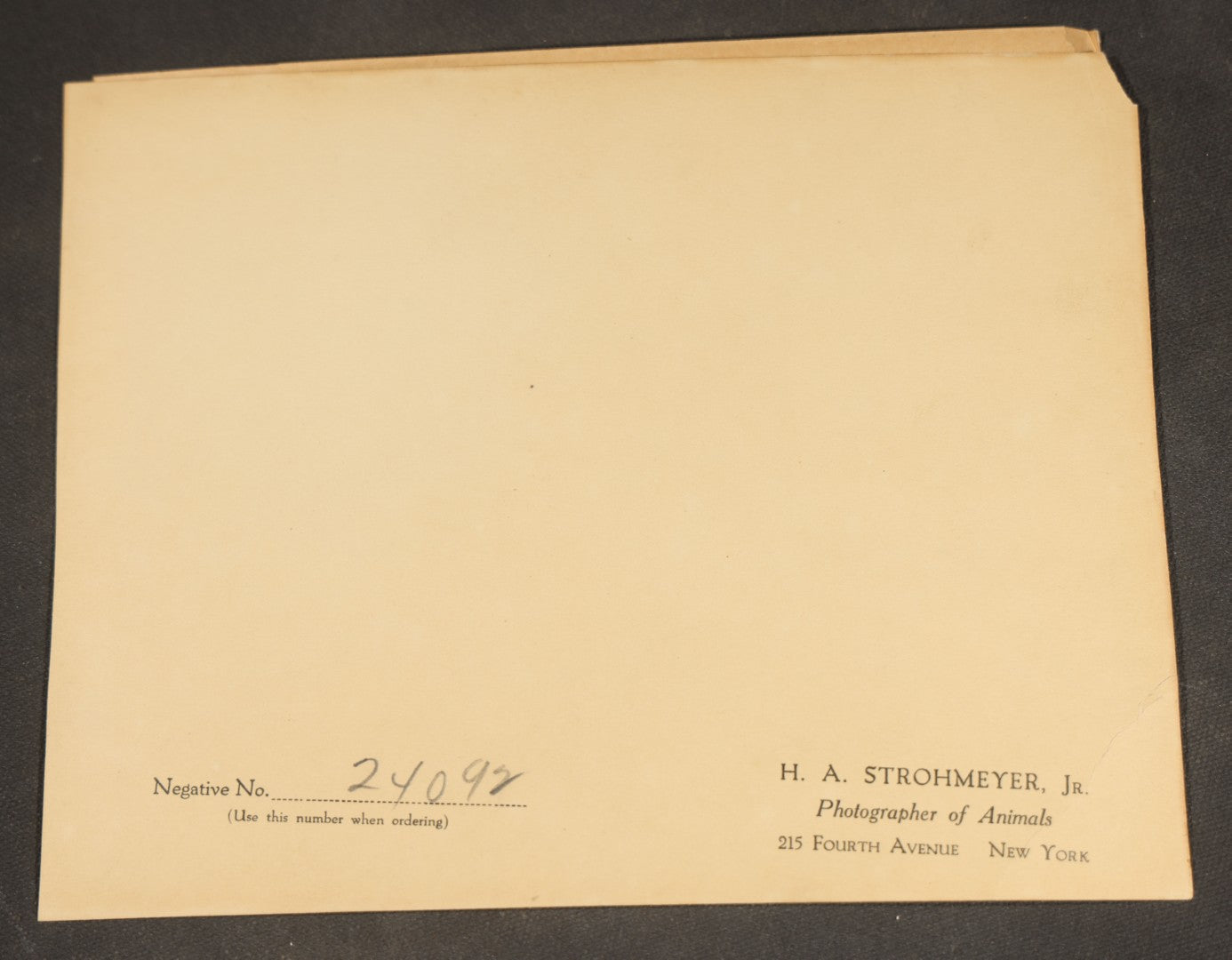 Grouping of Ten Antique and Vintage Paper Ephemera, including Scotts Emulsion Calendar 1898, Strohmeyer Inc. Animal Photographs, Kansas City Ice Storm Press Photo, First AidDrink Mix Labels