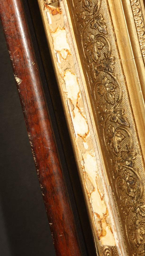Antique Framed Photograph of a Woman in Dark Victorian Dress Holding a Book, Ornate Gilt and Wood Frame, Note Poor Condition, No Glass, Damage and Losses Throughout