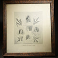 Lot 021 - Antique Framed Photographic Print "A Group of Society Buds" Featuring Five Women's Portraits with Decorative Foliage Elements, 7-3/4" W x 8-1/2" H