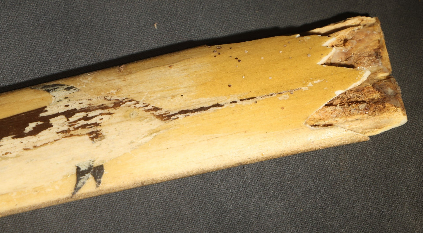 Antique Folk Art Decorated Swordfish Rostrum with Painted Swordfish, note poor condition